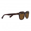 RB4398 902/57 53-20 Erik Polarized