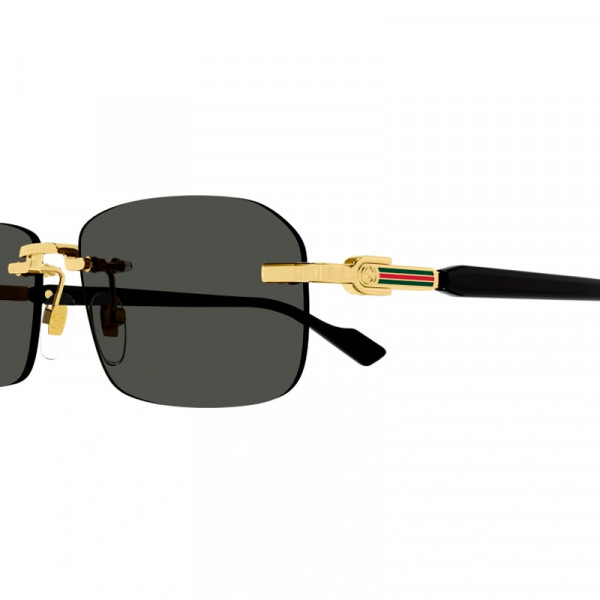 gg1221s-001