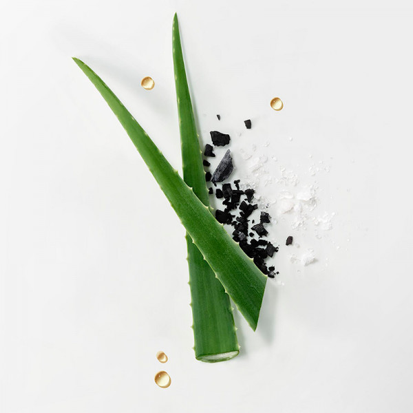 HEAD SPA Exfoliante purificante Detox