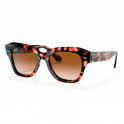 Rb2186 State Street Fleck Sunglasses