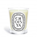 choisya-classic-model-candle