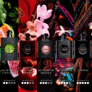 Black Opium Over Red