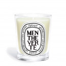 swieca-menthe-verte-model-classic