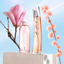 Flower Ikebana Mimosa by Kenzo