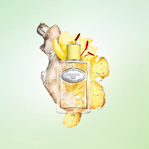 Infusion De Gingembre