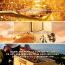 crema-de-dia-abeille-royale-honey-treatment