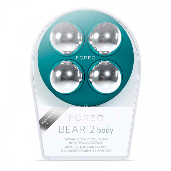 bear-2-body