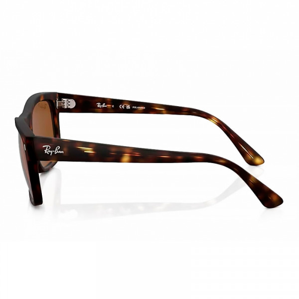 lunettes-de-soleil-rb4428