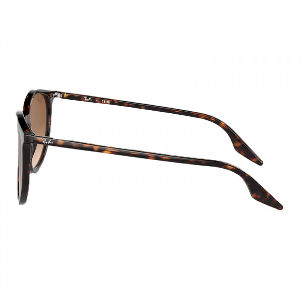 lunettes-de-soleil-0rb2204