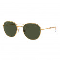 Gafas De Sol 0RB3809