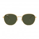 gafas-de-sol-0rb3809