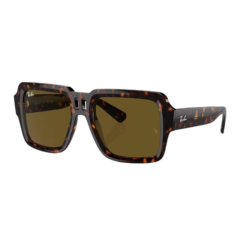 Ray-Ban Women's Dark/Brown Sunglasses For Sunglasses 0Rb4408