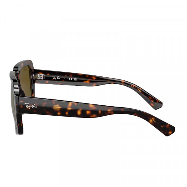 gafas-de-sol-0rb4408