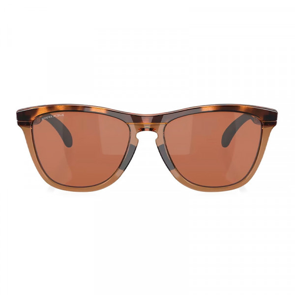 lunettes-de-soleil-de-la-gamme-frogskins