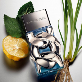 Amazon.com : Michael Kors Pour Homme 3.4 oz Eau de Parfum