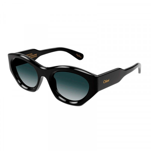 Sunglasses Ch0220S