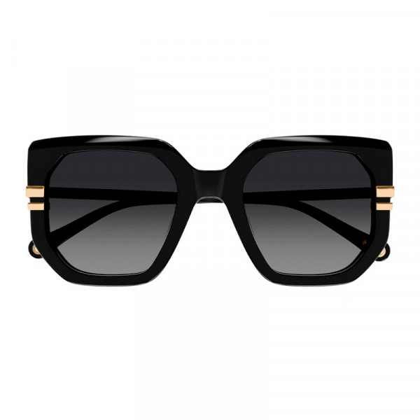 sunglasses-ch0240s