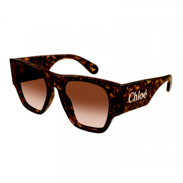 lunettes-de-soleil-ch0233s