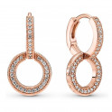 Shiny Double Hoop Earrings 289052C01