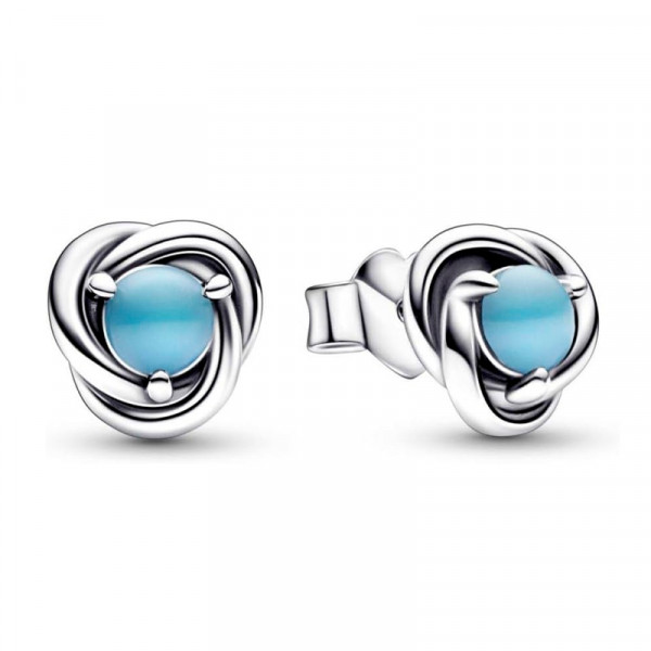 eternity-circle-stud-earrings-december-292335c02