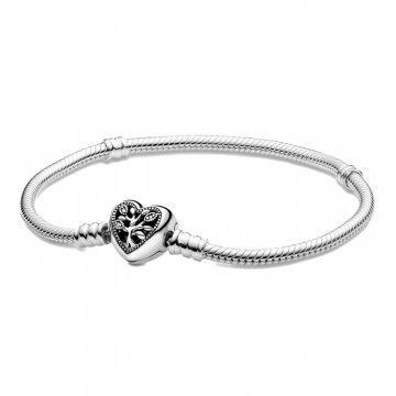 bracelet-chaine-serpent-avec-fermoir-coeur-familial-598827c01