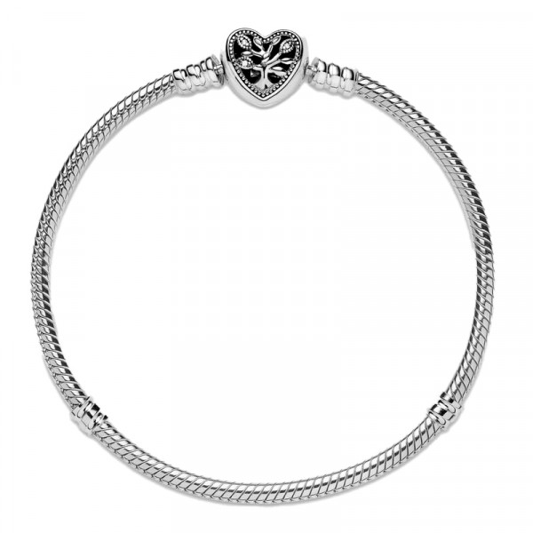 snake-chain-bracelet-with-family-heart-clasp-598827c01