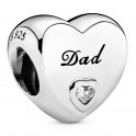 Father's Love sterling silver charm 796458CZ