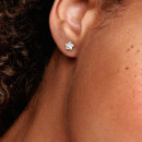 pendientes-brillo-estelar-290597cz