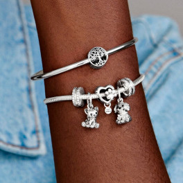 shiny-heart-and-paw-print-