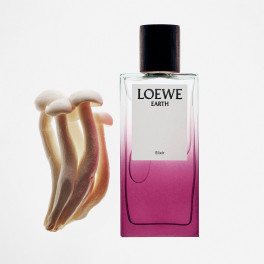 Earth Elixir Eau de Parfum - Loewe - Sabina