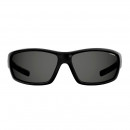 sunglasses-pld7029-s