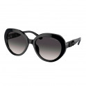 Sunglasses 0Mk2214U