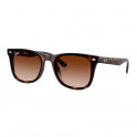 Gafas De Sol 0Rb4420