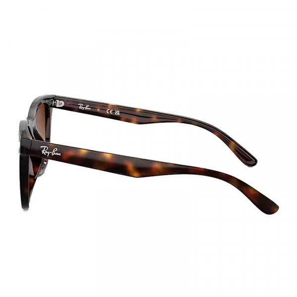 gafas-de-sol-0rb4420