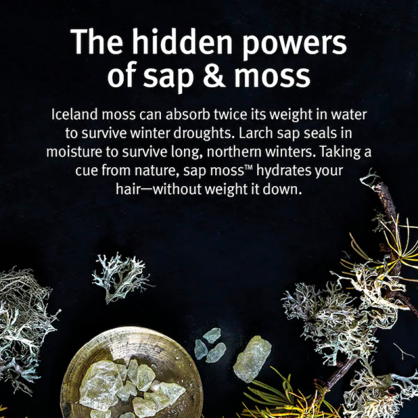 sap-moss-light-moisturizing-shampoo