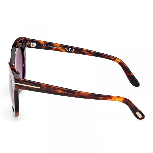 sunglasses-ft1189