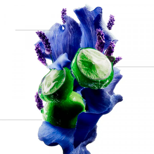 scalp-advanced-champu-anti-malestar