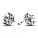 Sparkling Moon and Star Stud Earrings 292990C01