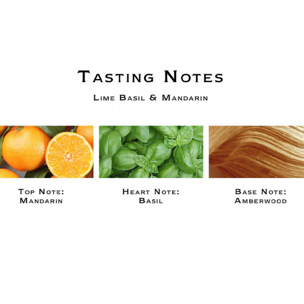 velas-opulentas-y-alegres velas-opulentas-y-alegres