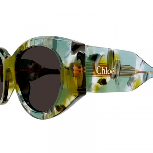 lunettes-de-soleil-ch0251s