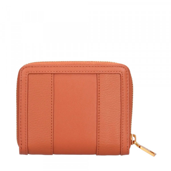 wallet-aa4034-e0031