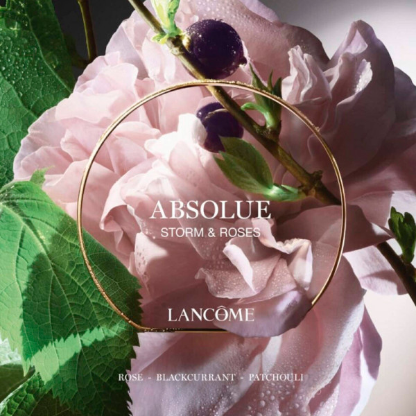 absolue-storm-roses