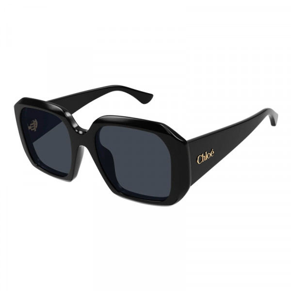 sunglasses-ch0300s