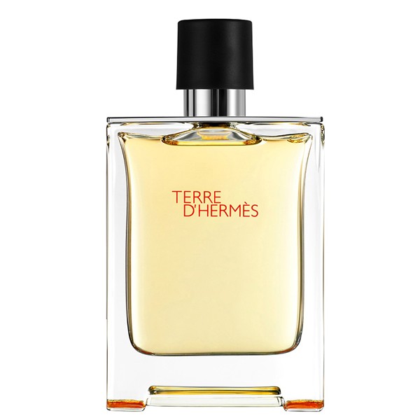 hermes terre de