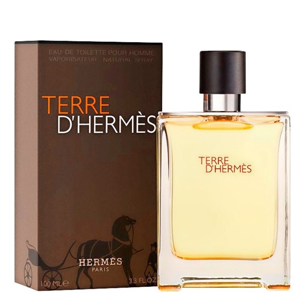 Hermès Terre D Hermes pour Homme Eau de Toilette