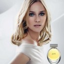Beauty 