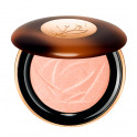 Teint Idole Ultra Wear C.E. Skin Transforming Highlighter Illuminating Powder