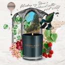 roanoke-ivy-aromatic-candle