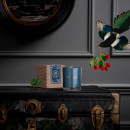 roanoke-ivy-aromatische-kaars
