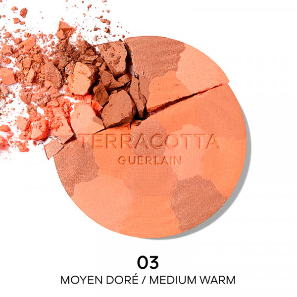 terracotta-light-natural-powders-good-face-effect